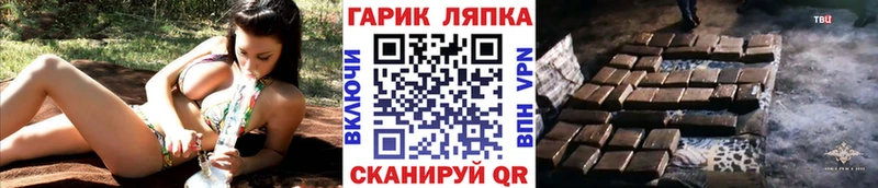 ГАШ Cannabis  как найти   Сухиничи 