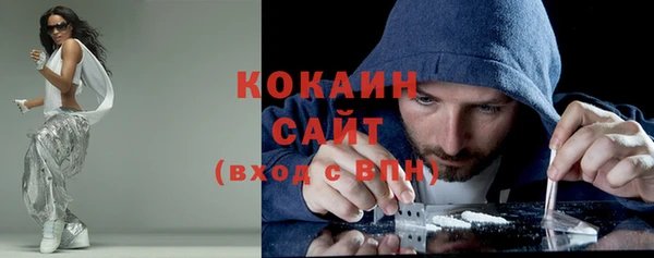 ALPHA PVP Покров