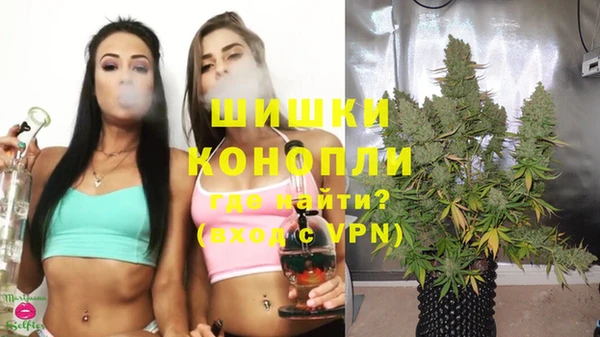 ALPHA PVP Покров