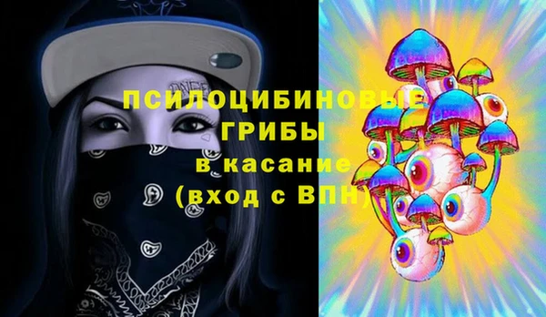 ALPHA PVP Покров