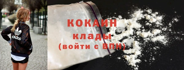 ALPHA PVP Покров
