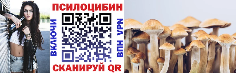 купить   Сухиничи  Галлюциногенные грибы прущие грибы 